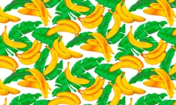 30632c01 Coleção tropical fruits bananas com folhas fd branco