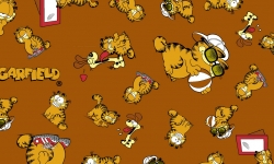GA006C03 Garfield   expressão fd marrom