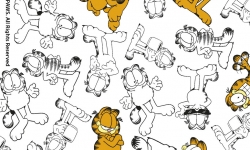 GA007C01 Garfield   mono fd branco