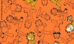 GA007C02 Garfield   mono fd laranja