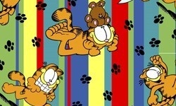 GA010C01 Coleção Garfield listras