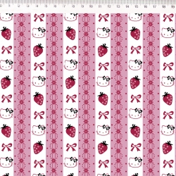 HK025C01