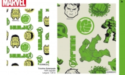 Catalogo Colecão Marvel Fernando Maluhy Hulk AV005C01 AV006C01