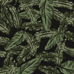 P31NL011900215