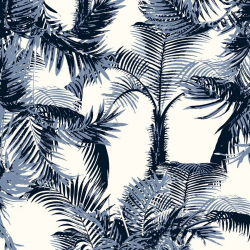 P31NL011900216