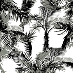 P31NL011900217