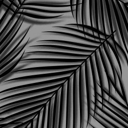 P31NL011900219