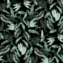 P31NL011900326