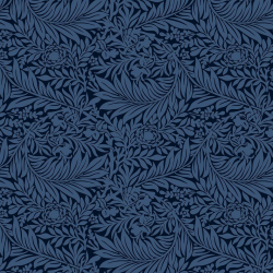 P31NL011900330