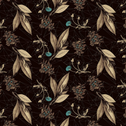 P31NL011900334