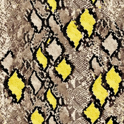 P31NL011900350