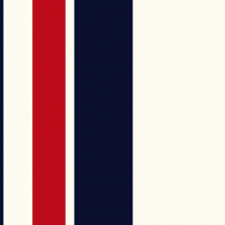 P31NL011900400