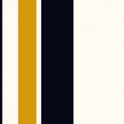 P31NL011900401