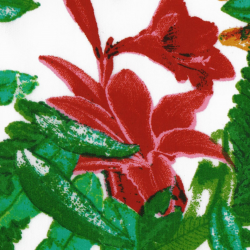 P31NL011900487